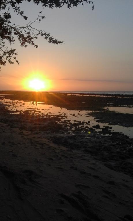 Coral Beach Pizza Cottages Gili Trawangan Eksteriør billede